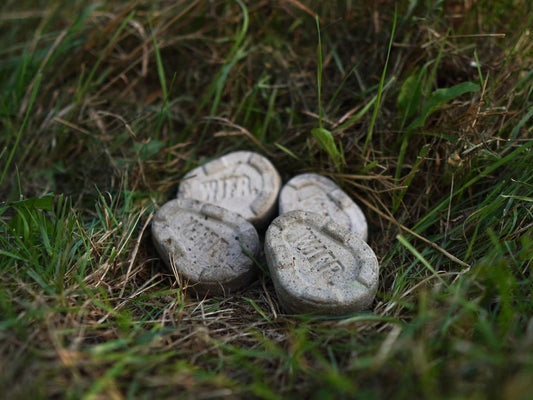 Ciężarek Karpiowy WJFR